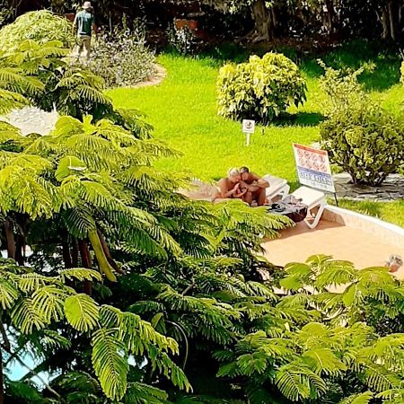 Nueva Europa Studio Ocean View Apartment Playa Del Aguila  Ngoại thất bức ảnh