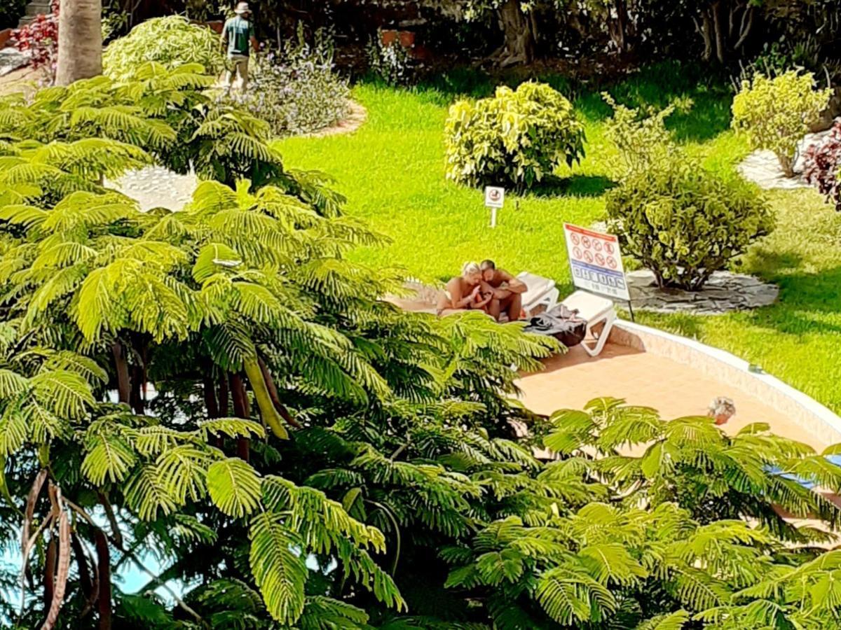 Nueva Europa Studio Ocean View Apartment Playa Del Aguila  Ngoại thất bức ảnh